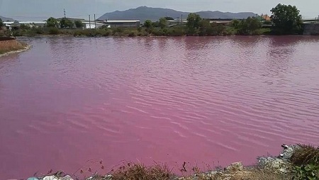 Kỳ lạ hồ nước bất ngờ chuyển màu hồng, bốc mùi hôi thối