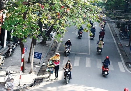 Dự báo thời tiết ngày 30/3: cả nước nắng ấm, miền Bắc sắp đón không khí lạnh