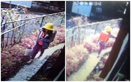 Nghi vấn bé gái Việt đi ngược hướng đến trường ngày mất tích