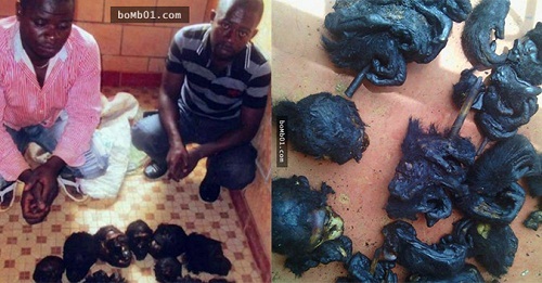 Phá căn phòng phát ra tiếng kêu thảm thiết, cảnh sát  thấy cảnh tượng đáng sợ