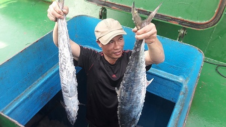 Ngư dân Hà Tĩnh trúng mẻ cá thu 2 tấn bán được hàng trăm triệu