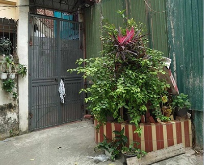 Nhà không cửa giữa lòng phố cổ