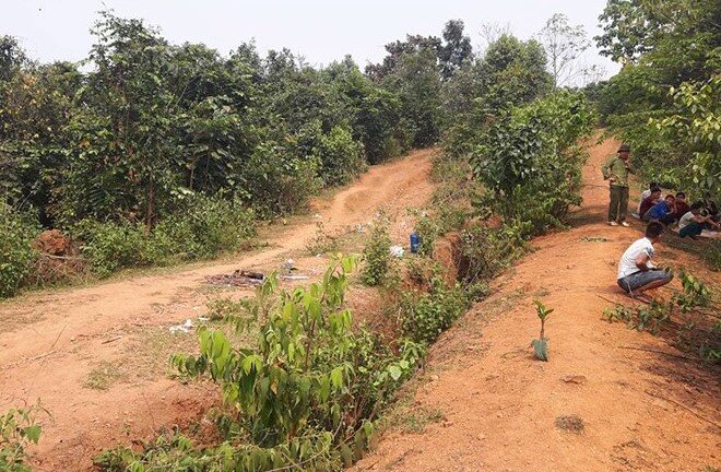 Truy nã toàn quốc nghi can sát hại cô gái tại Hòa Bình