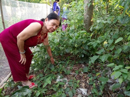 Bé trai sơ sinh bị bỏ rơi trong vườn