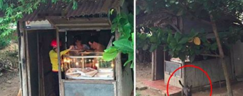 Tiệm vàng “dân dã” dưới lốt mái nhà tranh gây sốt dân mạng