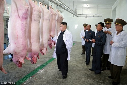 Kim Jong-un tươi cười khi thăm trang trại lợn của không quân