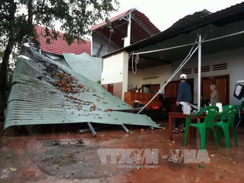Tin tức thời sự 24h mới nhất ngày 8/5