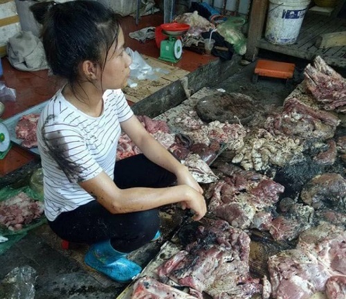 Họp báo vụ đổ dầu luyn vào thịt lợn ở chợ Lương Văn Can