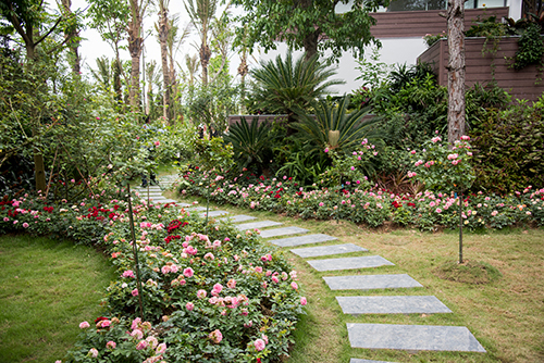 Vương quốc hoa hồng: Viết tiếp thành công cho Flamingo Đại Lải Resort