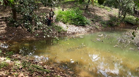 Xuống ao bắt nòng nọc, 3 học sinh tiểu học bị đuối nước