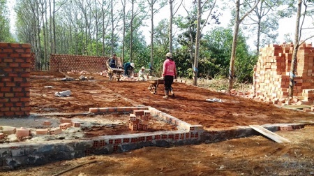 'Tạo điều kiện' cho người thân xây dựng không phép, Bí thư chi bộ bị cách chức