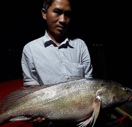 Ngư dân bắt được cá nghi sủ vàng 8 kg giá tiền tỷ trên sông Tiền