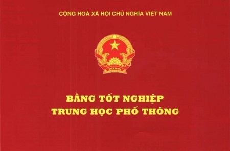 Dùng bằng giả, bốn giáo viên đào tạo lái xe bị đình chỉ công tác