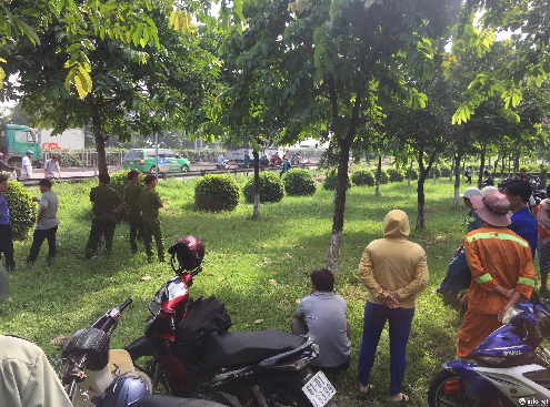 Điều tra nguyên nhân cô gái tử vong bất thường trên bãi cỏ ven quốc lộ 1