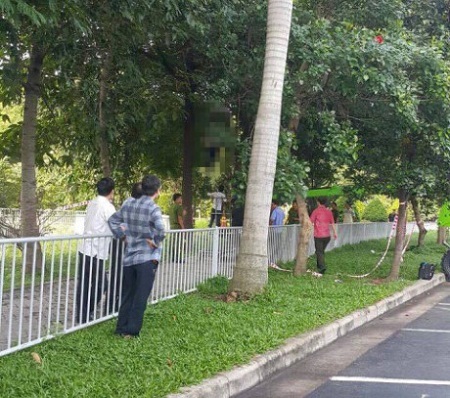 Phát hiện người đàn ông treo cổ trên cây ở sân bay Tân Sơn Nhất