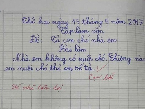 Dân mạng xôn xao tranh luận bài văn “Tả con chó của nhà em”