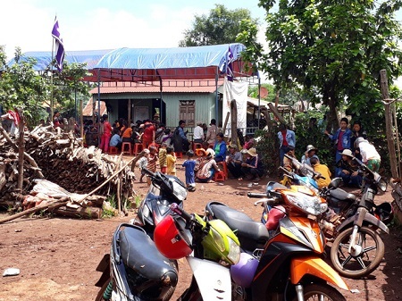 Cây đổ bất ngờ, 5 người đi đường bị thương 