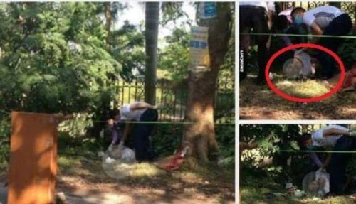 Hà Nội: Người đàn ông có hình xăm gục chết bên gốc cây, nghi do nắng nóng