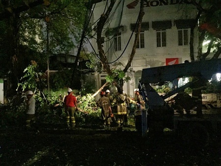 Hà Nội: Mưa lớn, cây cổ thụ gãy cành khiến 2 người bị thương