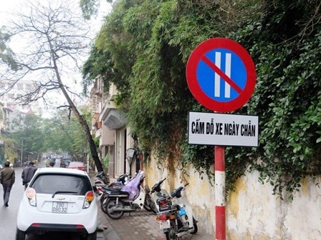 Tin tức thời sự 24h mới nhất ngày 8/6