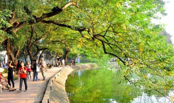 Dự báo thời tiết 8/6: Bắc Bộ tiếp tục mưa rào, trời mát mẻ