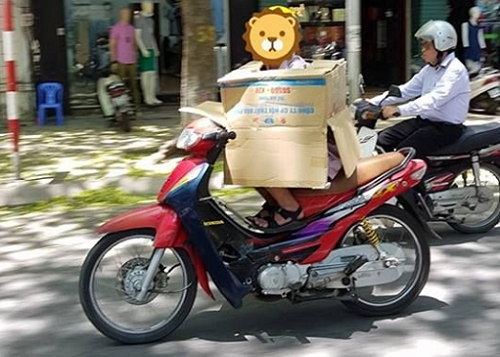 Loạt ảnh hài hước “đánh thức” cả những người khó tính nhất