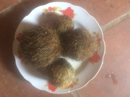 Tin tức thời sự 24h mới nhất ngày 17/6