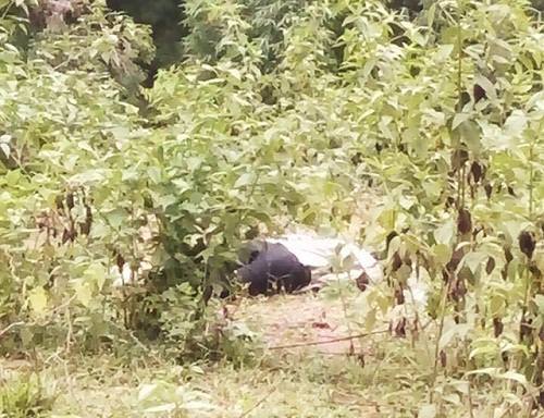 Bé gái hoảng sợ vì phát hiện thi thể nam giới cạnh mương nước khi đi chăn trâu