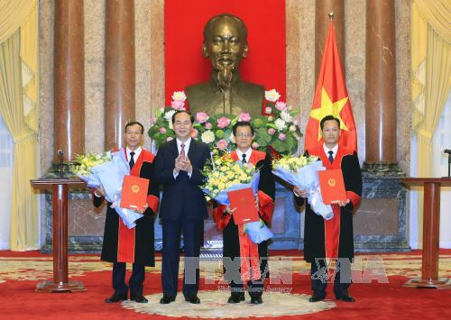 Chủ tịch nước trao quyết định bổ nhiệm Phó Chánh án, Thẩm phán TANDTC