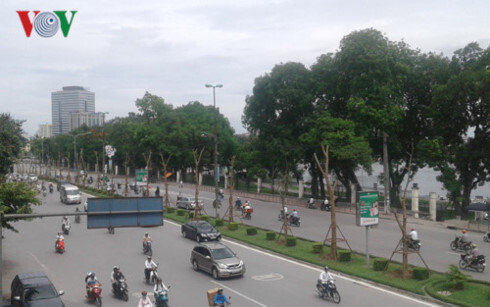 Chủ tịch TP Hà Nội sẽ công khai việc đánh chuyển, chặt hạ cây xanh