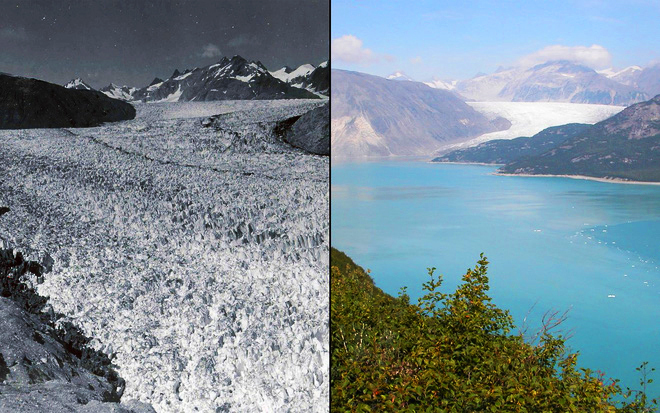 Chúng ta chỉ còn 1.000 ngày để cứu Trái đất, trước khi bước vào giai đoạn không thể phục hồi