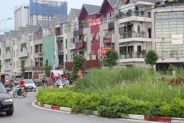 Chùm ảnh: Cỏ dại mọc um tùm trên các tuyến phố Thủ đô
