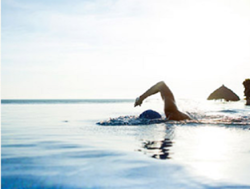 Thấy vật gì đó chạm vào chân, người đàn ông lặn xuống và kết cục rất có hậu