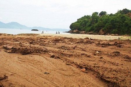 Chủ đầu tư trình giải pháp ngăn bùn đất đỏ từ dự án 'bạt núi' Sơn Trà tràn xuống biển