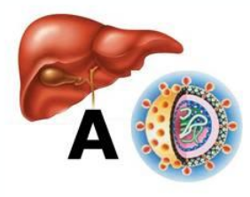Dịch viêm gan virus A tiến sát Việt Nam