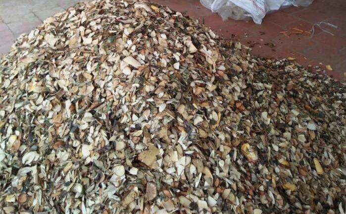 Thoát khỏi các bệnh xương khớp nhờ bài thuốc quý của lương y Triệu Thị Hòa