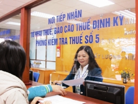 Kê khai nhầm khiến hàng nghìn người đang nộp thuế bị khai tử