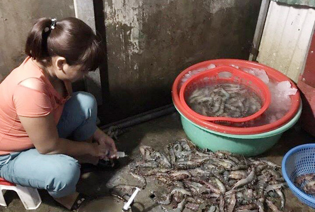 Phát hiện một cơ sở đang bơm tạp chất vào tôm ở Hà Nội