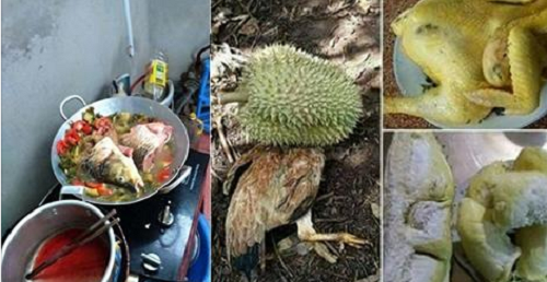 Tha hồ “xả stress” với loạt ảnh “lầy lội” của cư dân mạng