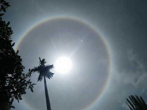 Tin tức thời sự 24h mới nhất ngày 11/8