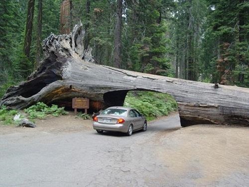 Điểm mặt những đường hầm độc đáo nhất thế giới, Việt Nam góp mặt 1