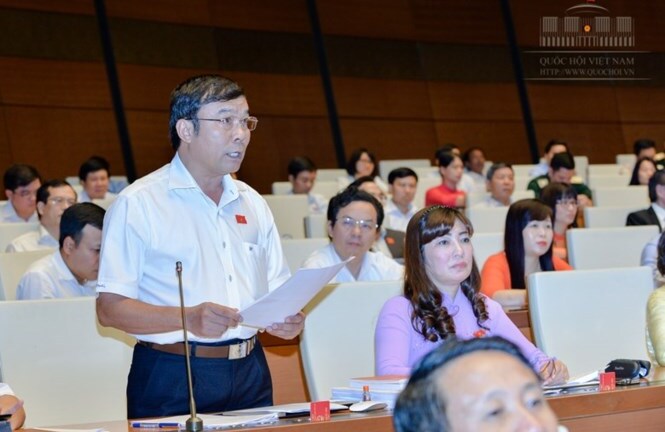 Đại biểu Quốc hội: Nói xây biệt phủ nhờ bán chổi đót, nuôi heo là coi thường dân