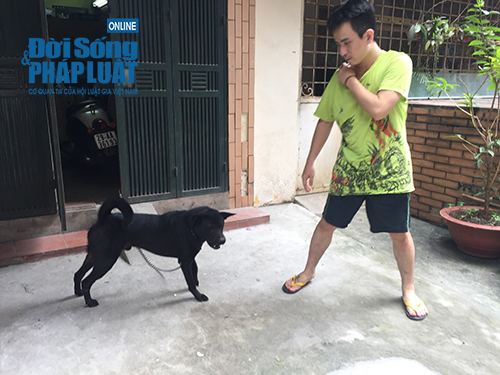 Các hộ nuôi chó, mèo nói gì về quy định xử phạt mới?