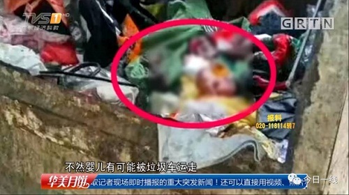 Phẫn nộ bà nội cùng bà ngoại thẳng tay ném cháu gái sinh non vào thùng rác