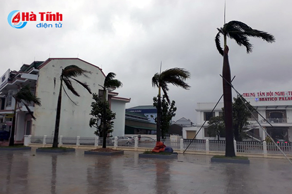 Chùm ảnh Bão số 10 