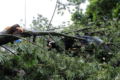 1 người chết, một mất tích trước bão số 10 ở Thừa Thiên Huế