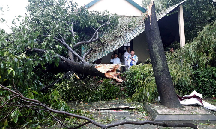 Bão số 10 chưa tan đã gây thiệt hại nặng nề