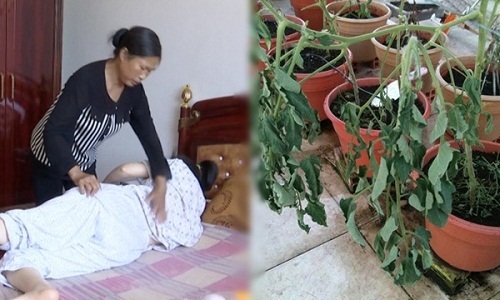 Nghi ngờ lòng tốt của mẹ chồng, con dâu nhất mực đổ đi bát canh bà nấu cho