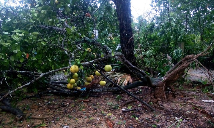 Bão số 10: Dân dùng thuyền