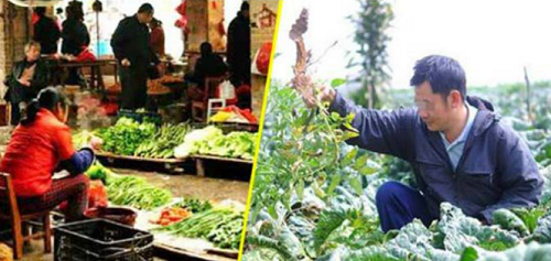 Câu chuyện về bà lão nghèo và việc cố ý làm dập rau tươi rồi vứt vào đống rau hỏng của bạn trai